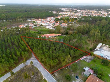 Terreno para Venda em Marinha Grande