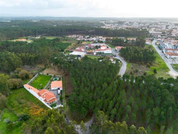 Terreno para Venda em Marinha Grande