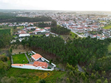 Terreno para Venda em Marinha Grande