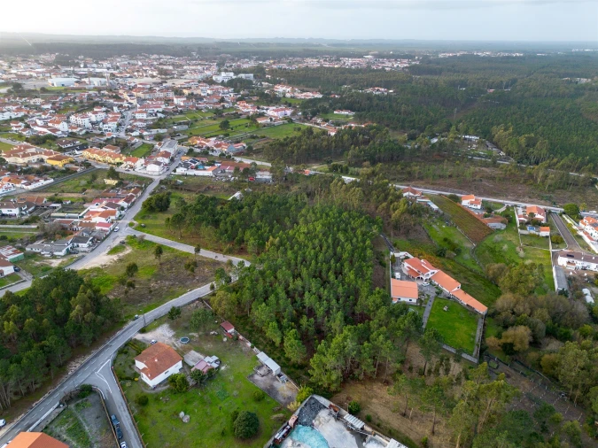 Terreno para Venda em Marinha Grande Foto 13