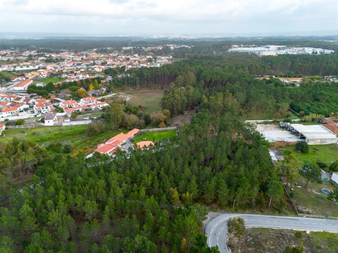 Terreno para Venda em Marinha Grande Foto 3