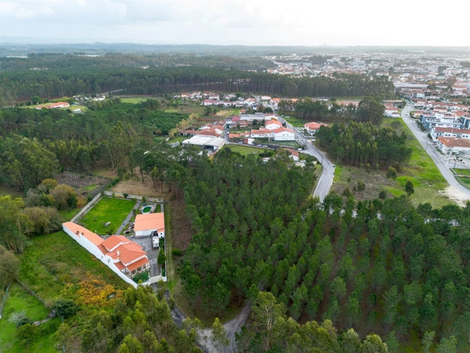 Terreno para Venda em Marinha Grande Foto 6