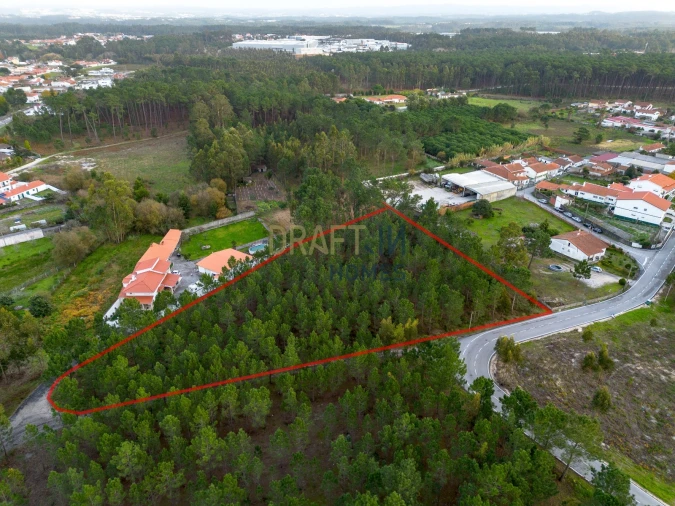 Terreno para Venda em Marinha Grande Foto 15