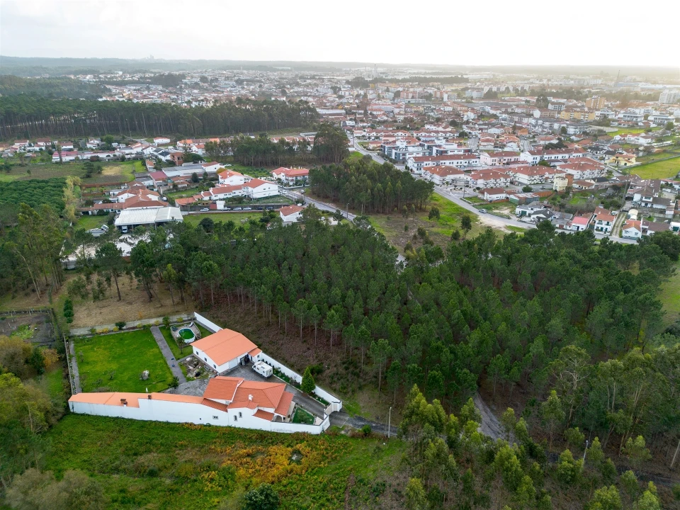 Terreno para Venda em Marinha Grande Foto 7