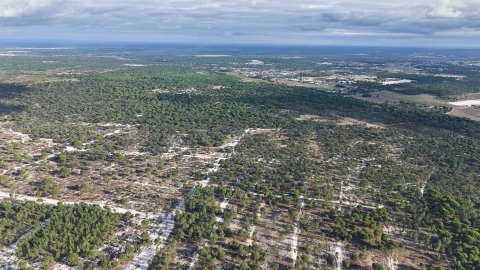 Terreno para Venda em Grândola e Santa Margarida da Serra