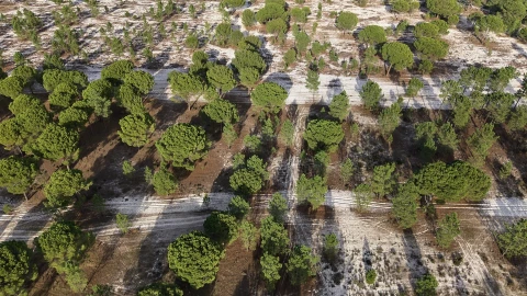 Terreno para Venda em Grândola e Santa Margarida da Serra