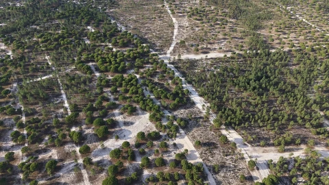 Terreno para Venda em Grândola e Santa Margarida da Serra