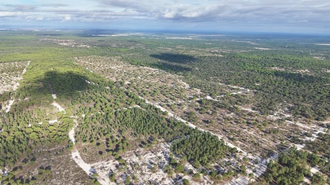 Terreno para Venda em Grândola e Santa Margarida da Serra