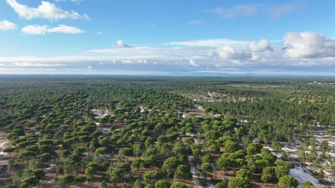 Terreno para Venda em Grândola e Santa Margarida da Serra
