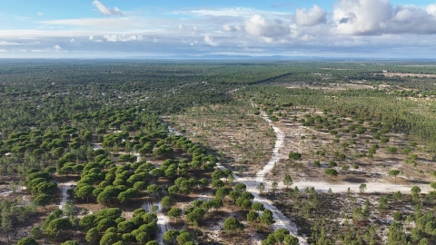 Terreno para Venda em Grândola e Santa Margarida da Serra