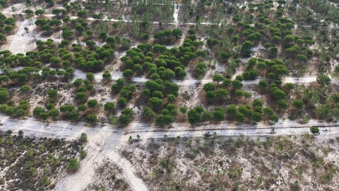 Terreno para Venda em Grândola e Santa Margarida da Serra