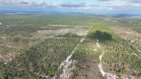 Terreno para Venda em Grândola e Santa Margarida da Serra