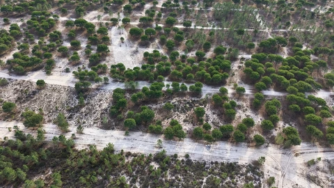 Terreno para Venda em Grândola e Santa Margarida da Serra