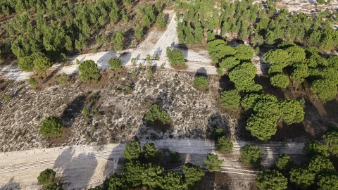 Terreno para Venda em Grândola e Santa Margarida da Serra