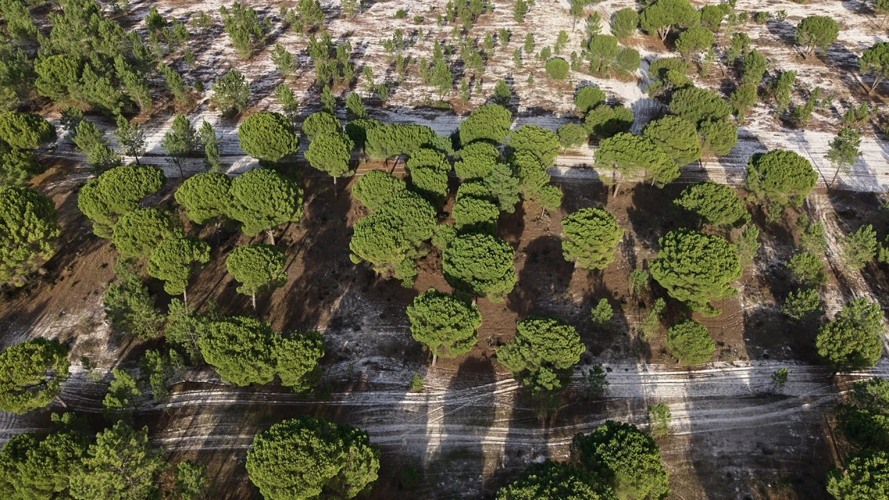 Terreno para Venda em Grândola e Santa Margarida da Serra Foto 16
