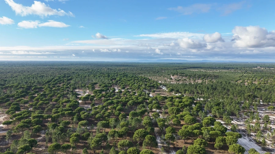 Terreno para Venda em Grândola e Santa Margarida da Serra Foto 12