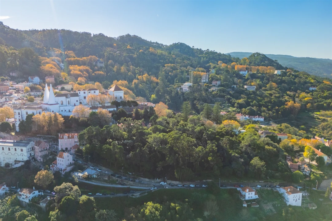 Quinta T10 para Venda em Santa Maria e São Miguel, São Martinho, São Pedro Penaferrim Foto 2