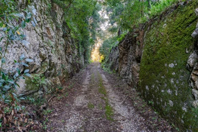 Quinta T10 para Venda em Santa Maria e São Miguel, São Martinho, São Pedro Penaferrim