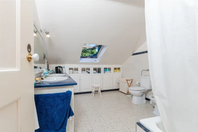 Quinta T10 para Venda em Santa Maria e São Miguel, São Martinho, São Pedro Penaferrim