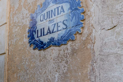 Quinta T10 para Venda em Santa Maria e São Miguel, São Martinho, São Pedro Penaferrim