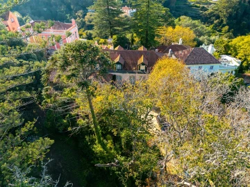 Quinta T10 para Venda em Santa Maria e São Miguel, São Martinho, São Pedro Penaferrim