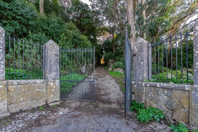 Quinta T10 para Venda em Santa Maria e São Miguel, São Martinho, São Pedro Penaferrim