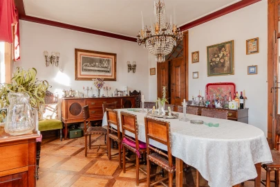 Quinta T10 para Venda em Santa Maria e São Miguel, São Martinho, São Pedro Penaferrim