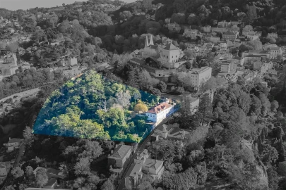 Quinta T10 para Venda em Santa Maria e São Miguel, São Martinho, São Pedro Penaferrim