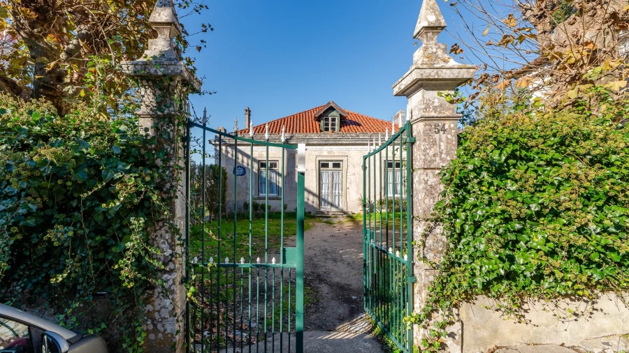 Quinta T10 para Venda em Santa Maria e São Miguel, São Martinho, São Pedro Penaferrim