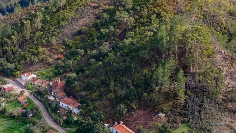 Quinta T2 para Venda em Monchique