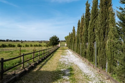 Quinta T4 para Venda em São Manços e São Vicente do Pigeiro