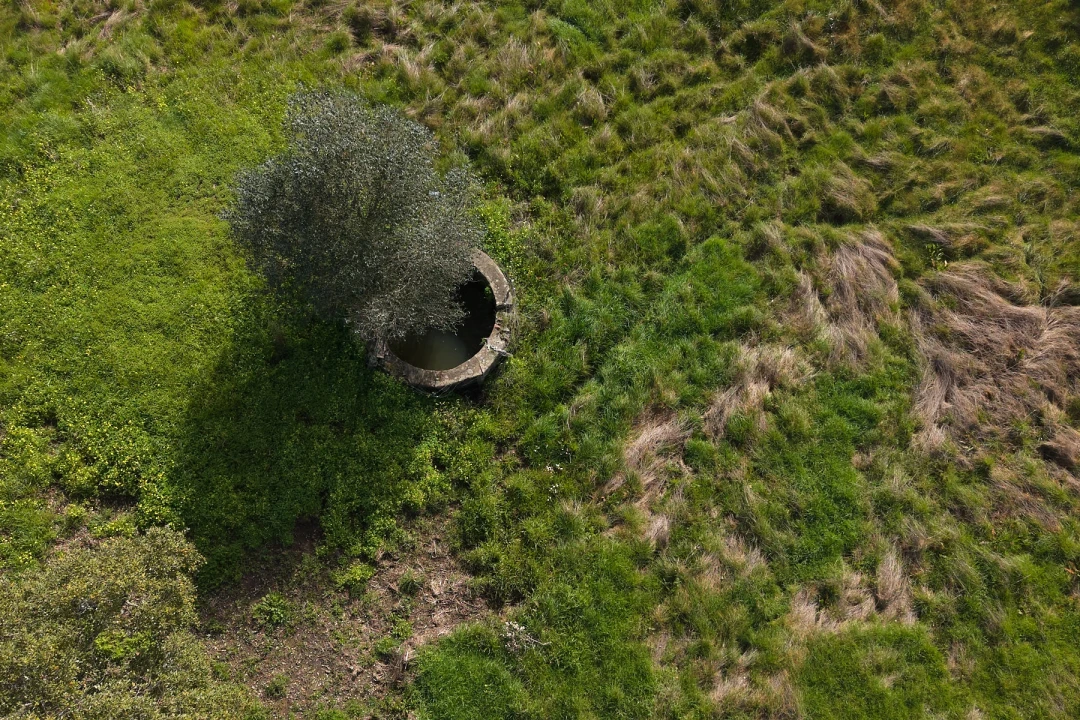 Quinta T2 para Venda em São Francisco da Serra Foto 28
