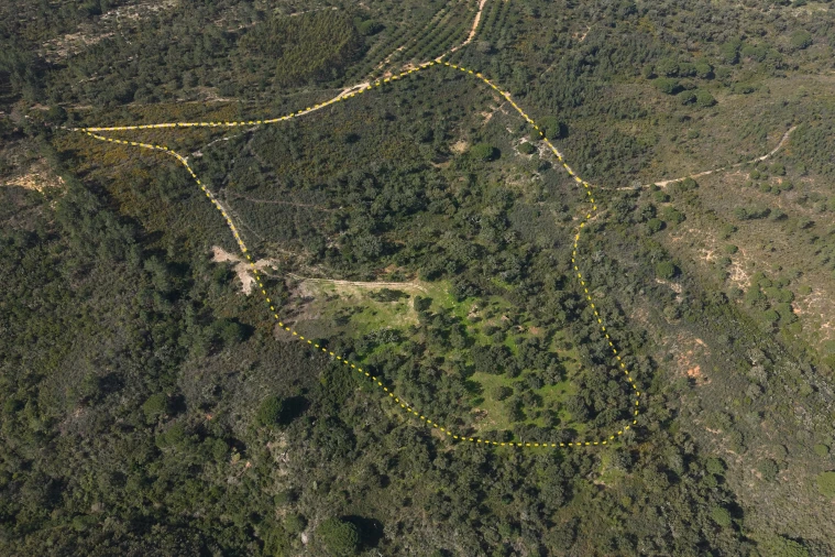Quinta T2 para Venda em São Francisco da Serra Planta 1