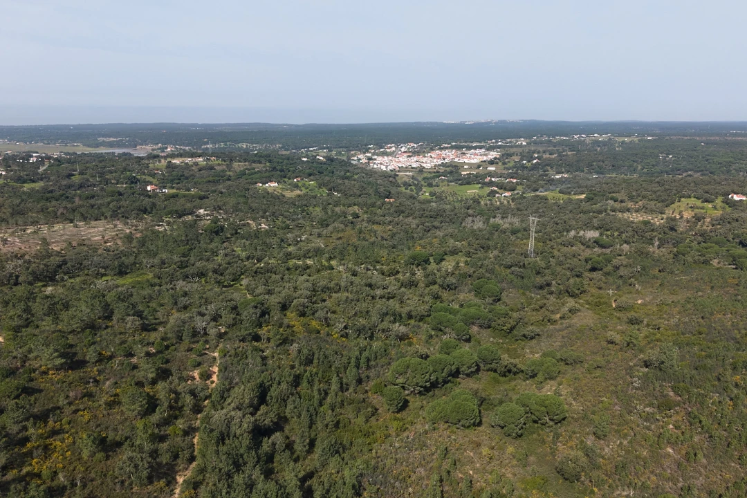 Quinta T1 para Venda em Melides Foto 18