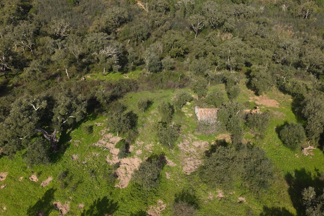 Quinta T1 para Venda em Melides Foto 7