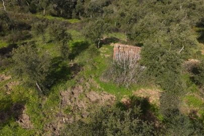 Quinta T1 para Venda em Melides