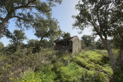 Quinta T1 para Venda em Melides