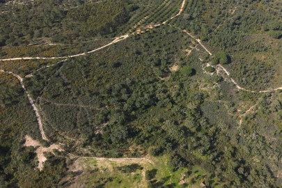 Quinta T1 para Venda em Melides