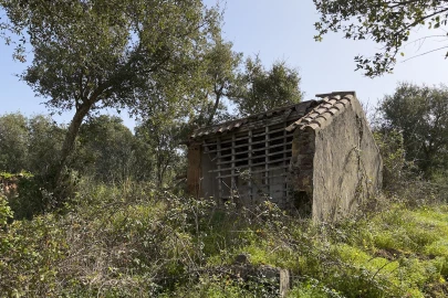 Quinta T1 para Venda em Melides