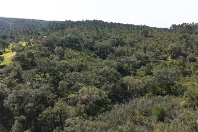 Quinta T1 para Venda em Melides