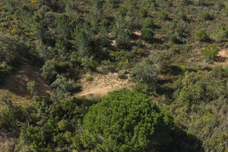 Quinta T1 para Venda em Melides Foto 15