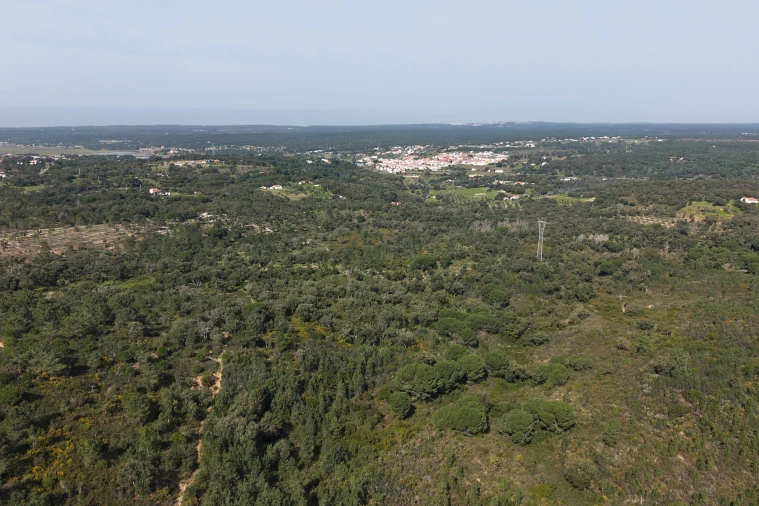 Quinta T1 para Venda em Melides Foto 18