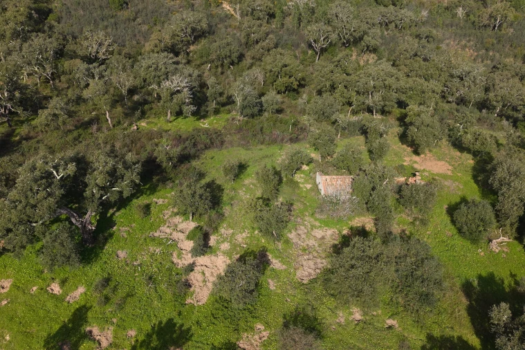Quinta T1 para Venda em Melides Foto 7