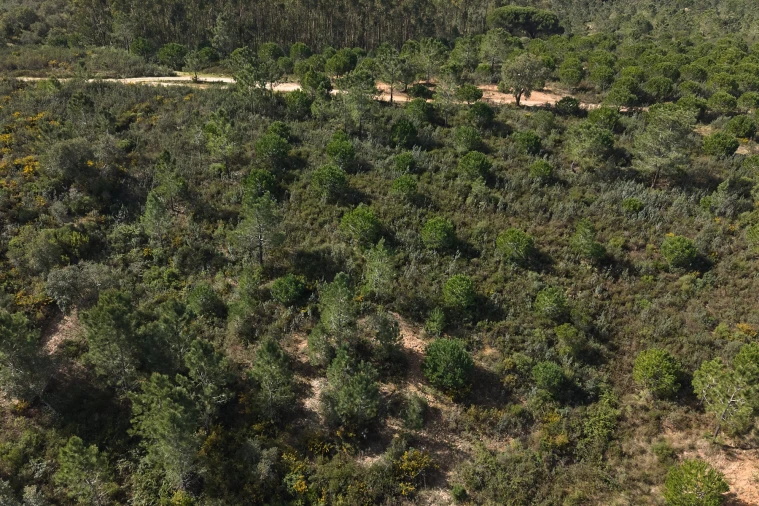 Quinta T1 para Venda em Melides Foto 17