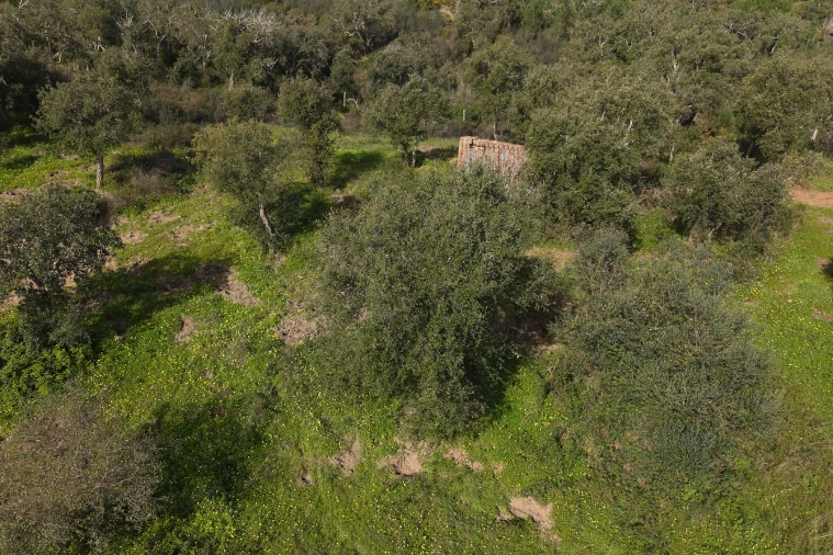 Quinta T1 para Venda em Melides Foto 8