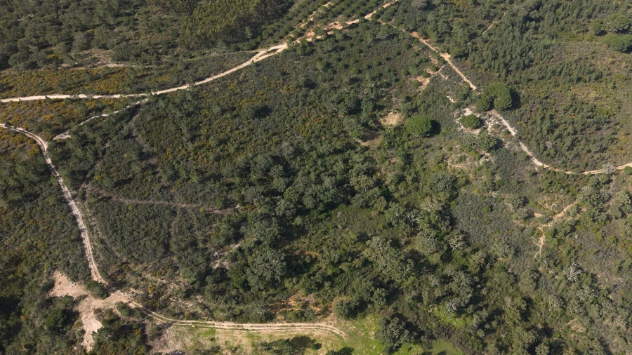 Quinta T1 para Venda em Melides