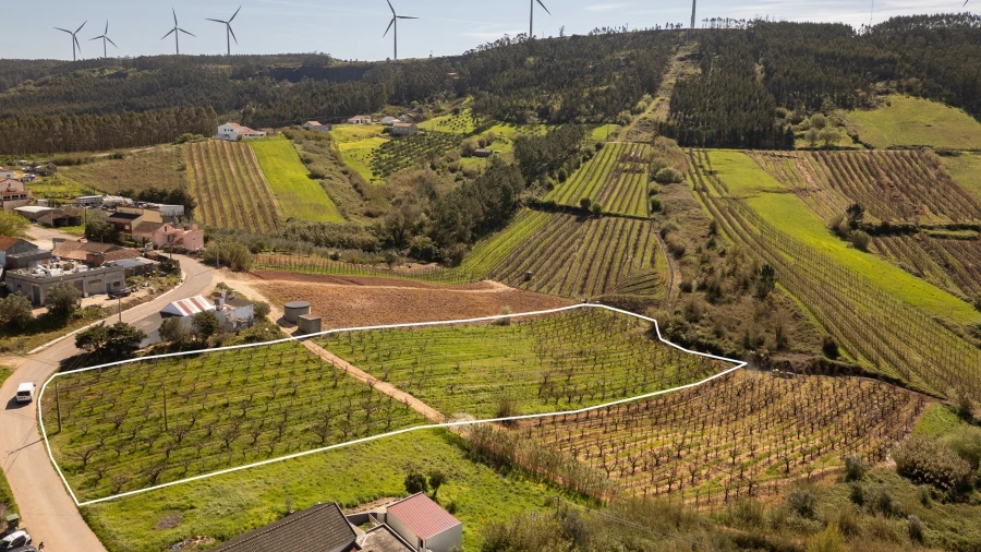 Terreno Agricola ou Rústico para Venda em Painho e Figueiros