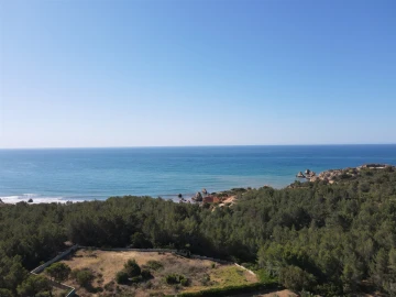 Terreno para Venda em Alvor