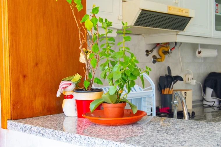 Apartamento T3 para Venda em Oiã Foto 29