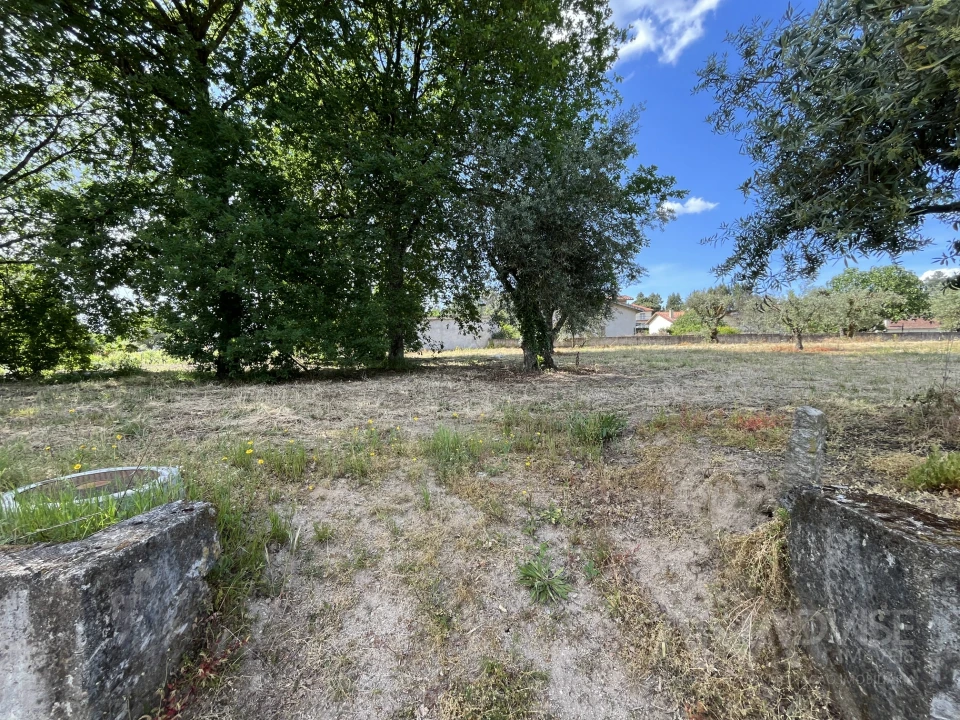 Terreno para Venda em Silgueiros Foto 8